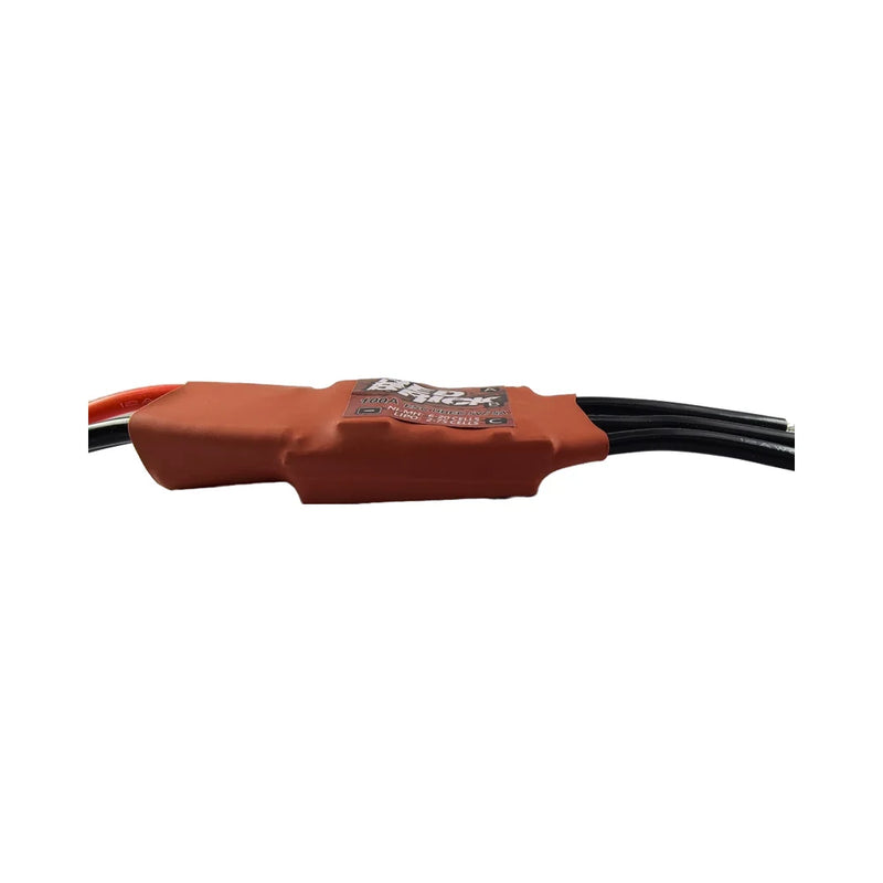 Red Brick ESC 50A 70A 80A 100A 125A 200A  5V/3A 5V/5A Brushless BEC Electronic Speed Controller for RC plane or Ship model parts